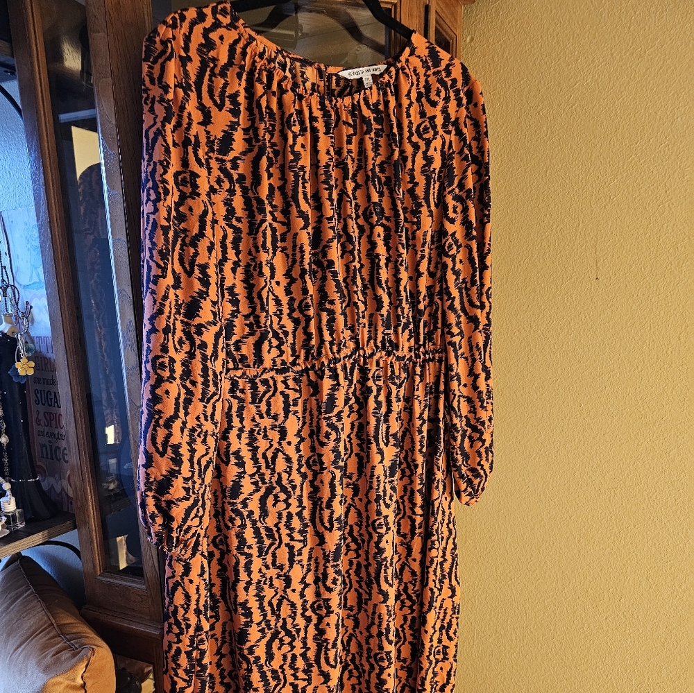Elizabeth and James Beautiful Dress